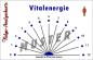 Preview: Nelya-Analysekarte - Vitalenergie - Nr. 5310