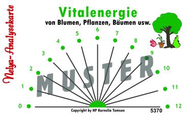 Nelya-Analysekarte - Vitalenergie von Pflanzen - Nr. 5370