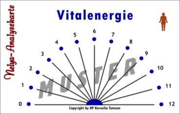 Nelya-Analysekarte - Vitalenergie - Nr. 5310
