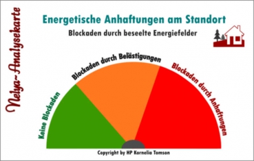 Nelya-Analysekarte - Energetische Anhaftungen am Standort - Blockaden durch beseelte Energiefelder - Nr. 5341