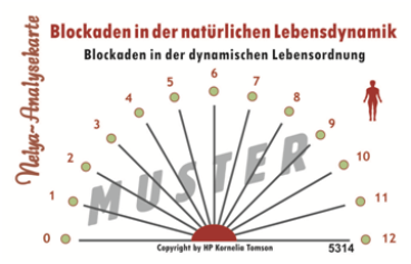 Nelya-Analysekarte - Blockaden in der natürlichen Lebensdynamik Blockaden in der dynamischen Lebensordnung