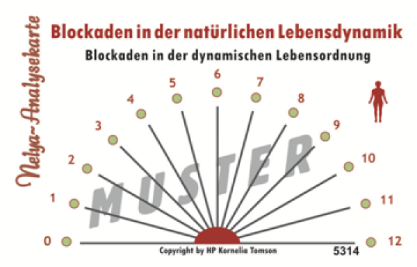 Nelya-Analysekarte - Blockaden in der natürlichen Lebensdynamik Blockaden in der dynamischen Lebensordnung